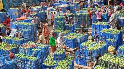 ‘৫৪ কেজিতে মণ’ আমের ধলতা প্রথা বন্ধের নির্দেশ
