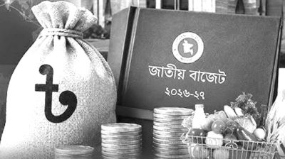 সংকটের অর্থনীতি, প্রত্যাশার বাজেট