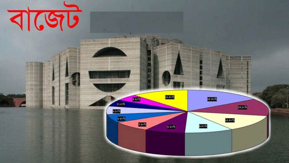 বাজেটে বড় পরিবর্তন, নির্দিষ্ট লেনদেনে বাধ্যতামূলক ‘বিআইএন’