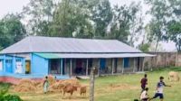 তারাগঞ্জে ছাত্রীদের শ্লীলতাহানির অভিযোগে বরখাস্ত শিক্ষক