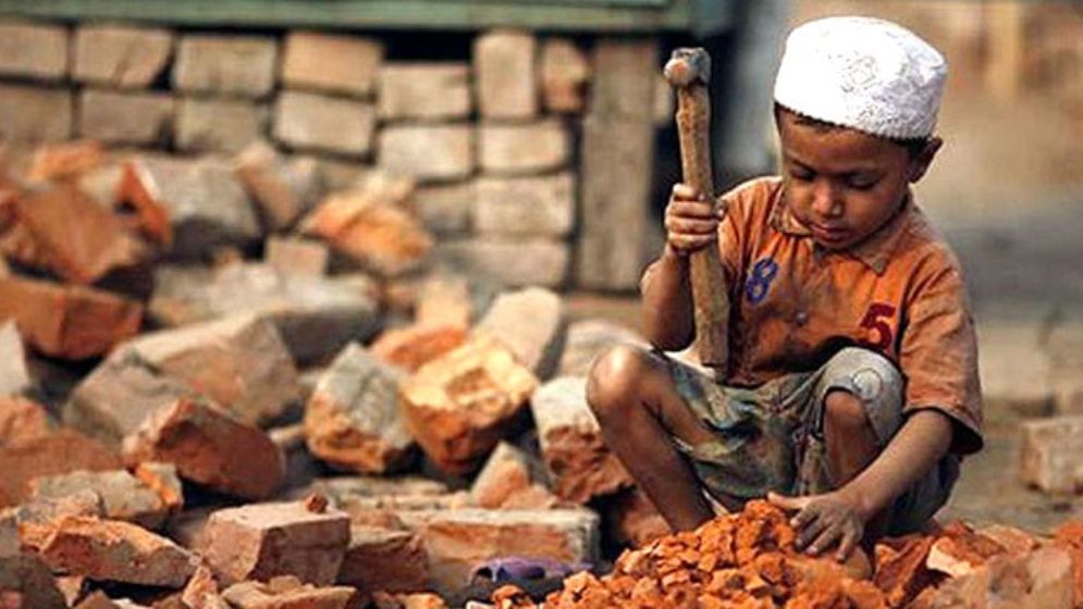 শিশুর হাতে বই দিতে হলে বড়দের হাতে কাজ দিতে হবে