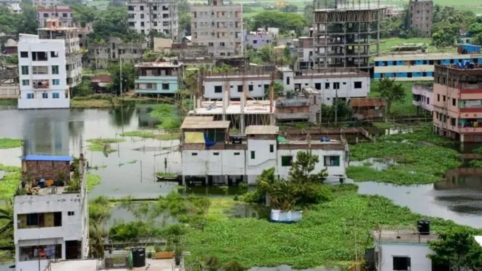 জাল দলিলে আপনার জমি দখল হয়ে গেলে কী করবেন?