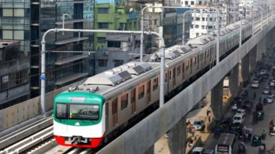 মেট্রোরেলের লাইনে বিড়াল, অতঃপর...
