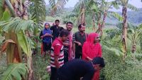 দর্শনা সীমান্তে ১১ জনকে পুশইনের চেষ্টা