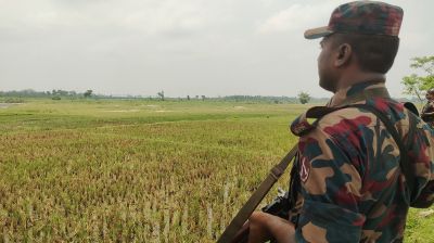 পুশইন ঠেকাতে ঠাকুরগাঁও সীমান্তে বিজিবির সঙ্গে পাহারায় গ্রামবাসী