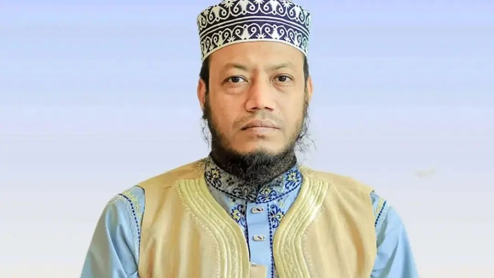 দুই মামলায় স্থায়ী জামিন পেলেন আমির হামজা