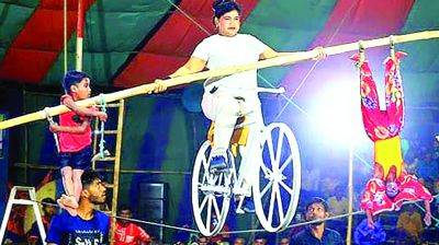 বিলুপ্তির দ্বারপ্রান্তে সার্কাস