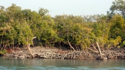 দাপিয়ে বেড়াচ্ছে ৭ দস্যু দল