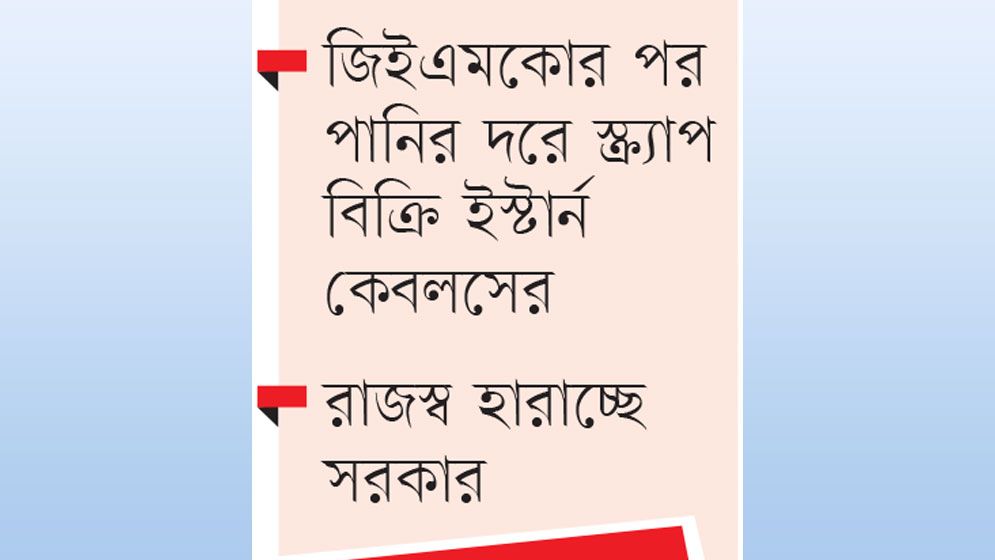 বিএসইসি’র অধীন কোম্পানিতে হরিলুট