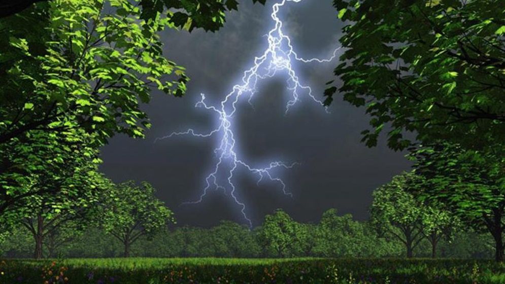 ঝাড়খণ্ডে বজ্রপাতে প্রাণ গেল ৮ জনের