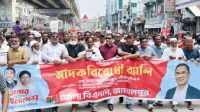 বিএনপির কেউ মাদকের সঙ্গে জড়িত থাকলেও ব্যবস্থা নিন: এমপি মামুন