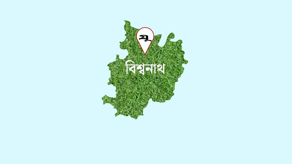 বিশ্বনাথে সরকারি ভূমি নিলামে বিক্রি করল আ.লীগ নেতা!