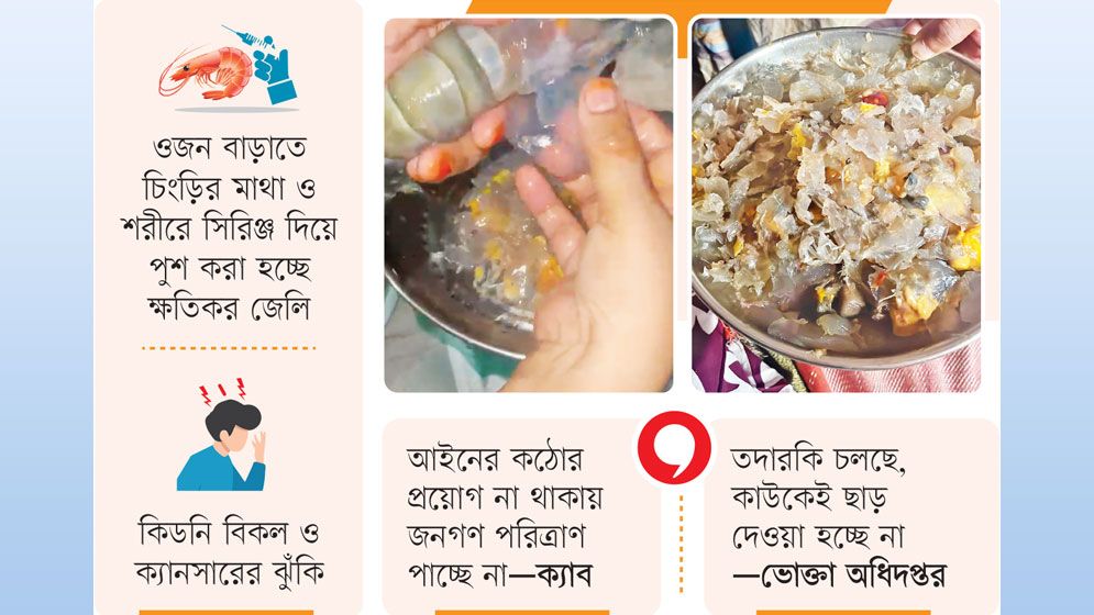 চিংড়ির নামে পাতে সিলিকা বিষ