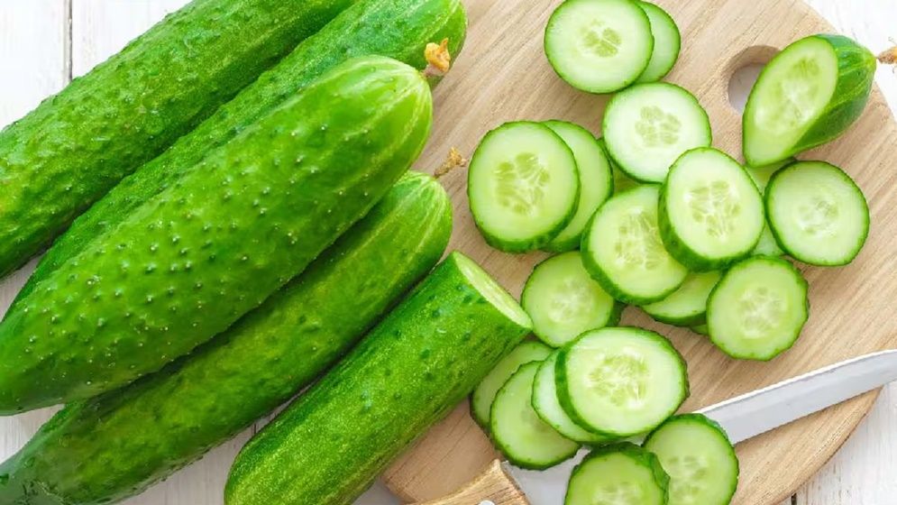 শসা তেঁতো কিনা বুঝবেন কীভাবে, জেনে নিন কৌশল