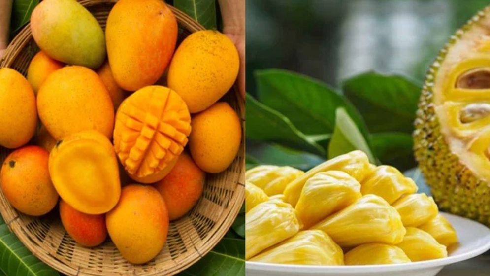 একজনকে দাওয়াত, হাজির ১০০ অতিথি