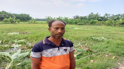 কৃষকের লক্ষাধিক টাকার গাছ কাটার অভিযোগে বিএনপি নেতাসহ ৭ জনের বিরুদ্ধে মামলা