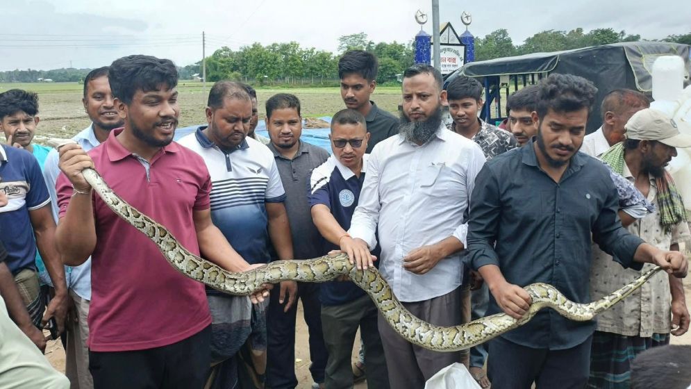 ৮ ফুট লম্বা অজগর উদ্ধার