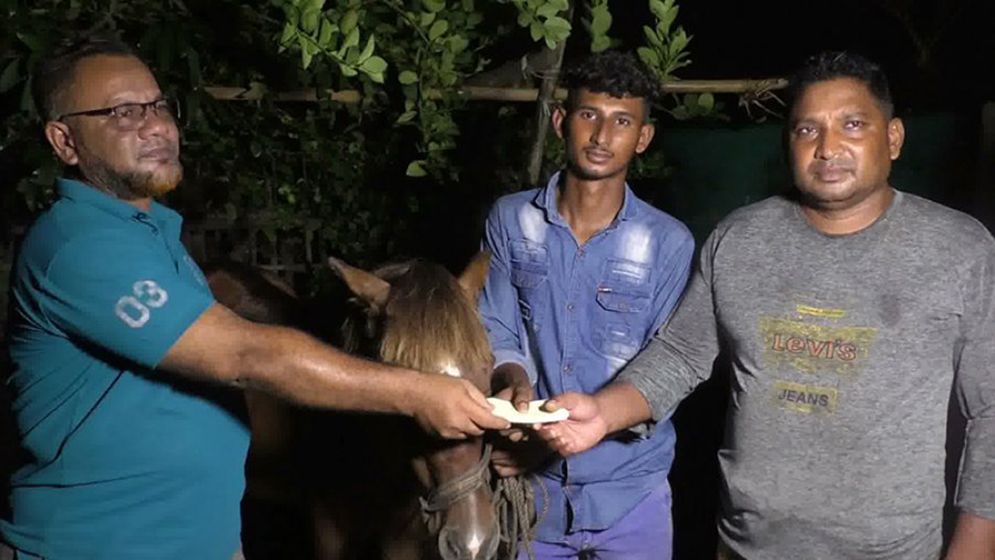 অন্ধ ঘোড়াকে আশ্রয় দেওয়া সেই কলেজছাত্রের পাশে প্রধানমন্ত্রী
