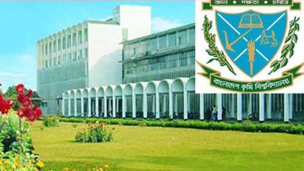 স্বল্পখরচে শৈবাল থেকে মাছের লাইভ ফিড