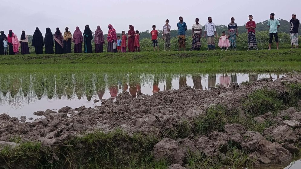 রাতের আঁধারে সরকারি সড়ক কেটে বানানো হলো ফসলি জমি