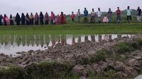 রাতের আঁধারে সরকারি সড়ক কেটে বানানো হলো ফসলি জমি