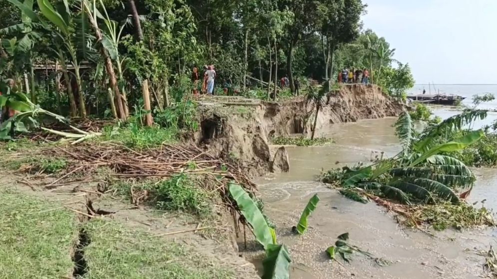 পঞ্চাশ বছরের সম্পদ ৫০ মিনিটেই শেষ