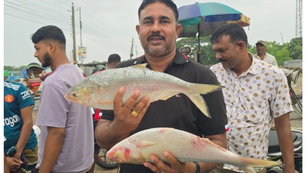 পদ্মার দুই ইলিশের দাম ১৬ হাজার