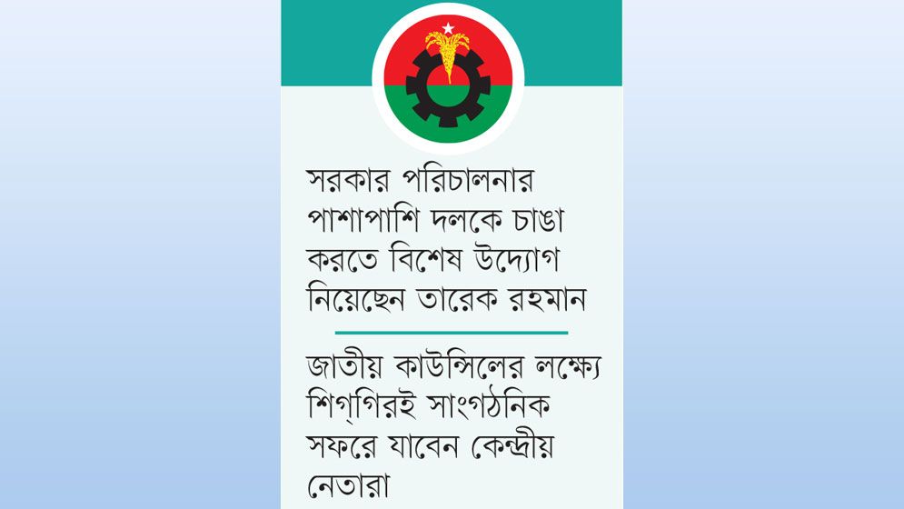 এবার দলও গোছাবে বিএনপি