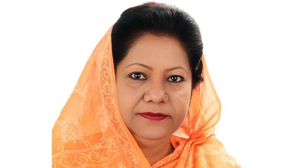 সংসদে ‘ডিম থেরাপি’ দেওয়ার পরামর্শ রেহানার