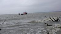 উত্তাল সাগরে দুই ট্রলার ডুবি, দুই জেলে নিখোঁজ