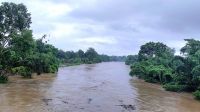 ধলাই নদীর বাঁধ ভেঙে একাধিক গ্রাম প্লাবিত