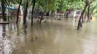 পানিবন্দি হাতিয়ার লক্ষাধিক মানুষ