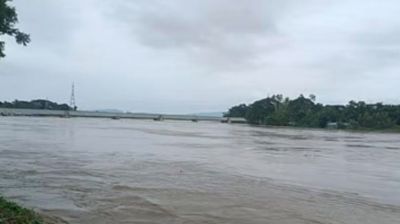 স্রোতে ভেসে আসা কাঠ ধরতে গিয়ে যুবদল কর্মী নিখোঁজ