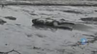 বঙ্গোপসাগরের শুভসন্ধ্যা মোহনায় নিখোঁজ পর্যটকের লাশ উদ্ধার