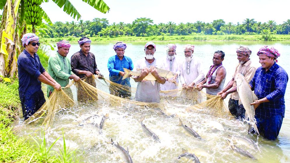 আত্মসমর্পণকারী ৫৪ বাম চরমপন্থি নতুন জীবনে