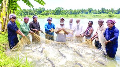 আত্মসমর্পণকারী ৫৪ বাম চরমপন্থি নতুন জীবনে
