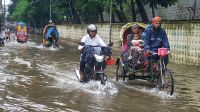 টানা বৃষ্টিতে ঢাকার সড়ক ও অলি-গলি থৈ থৈ