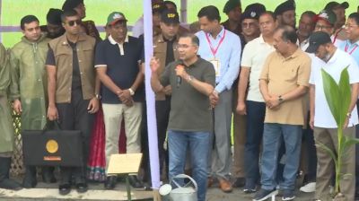 গৌরনদীতে একযোগে আড়াইহাজার বৃক্ষরোপণ কর্মসূচি উদ্বোধন করলেন প্রধানমন্ত্রী