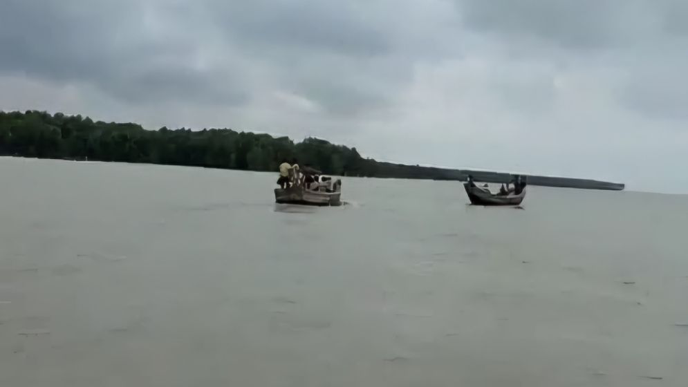বরগুনায় বন বিভাগের কর্মীসহ ট্রলার ডুবি