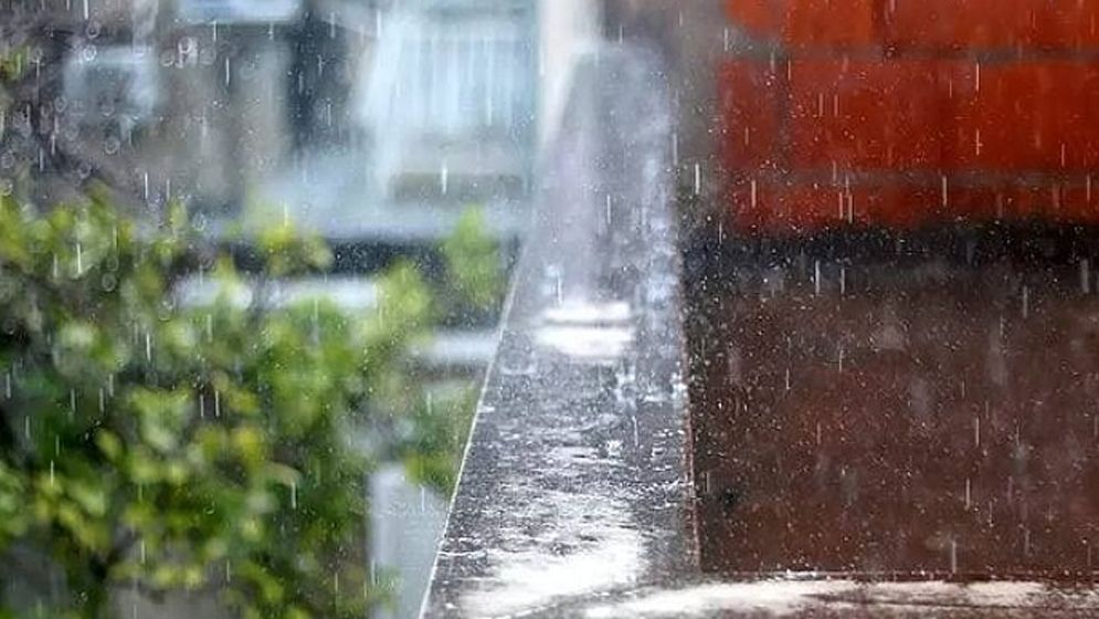 টানা বৃষ্টির পর স্যাঁতসেঁতে পরিবেশ যেসব রোগের কারণ