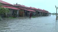 ভোলায় বিপৎসীমার উপরে মেঘনার পানি, প্লাবিত নিম্নাঞ্চল