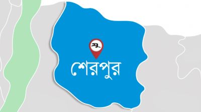 জনসমর্থন পেতে ৩ শতাধিক চেয়ারম্যান প্রার্থীর দৌড়ঝাঁপ