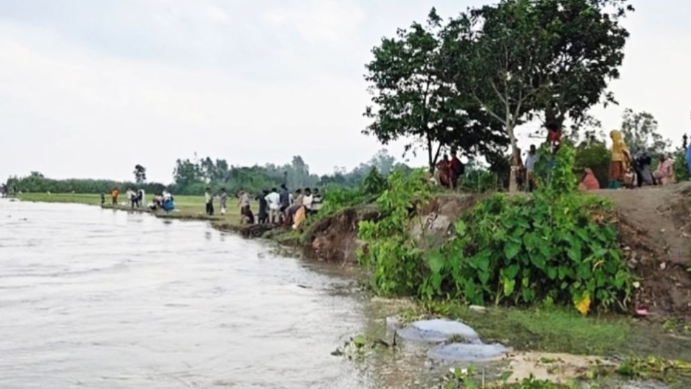 বগুড়ায় যমুনা নদীর পানি বৃদ্ধি, ভাঙছে বসতভিটা ও ফসলি জমি