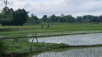 সীমান্তে খুঁটি বসানোর চেষ্টা, বিজিবির বাধায় পিছু হটল বিএসএফ