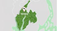 পাথরঘাটা যুগান্তর প্রতিনিধি জিয়াউল ইসলামের মায়ের ইন্তেকাল