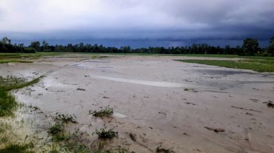 শেরপুরে বন্যার পর ফসলি জমিতে বালুর স্তর, দিশেহারা কৃষক