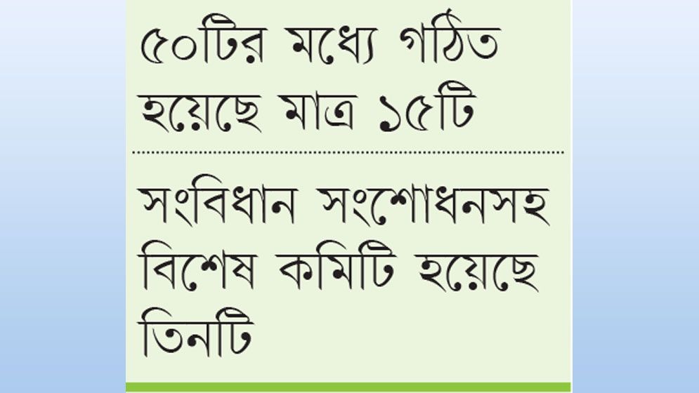 কমিটি গঠনে ধীরগতি