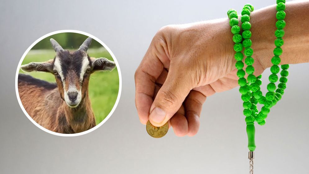 ‘জানের বদলে জান’ সদকা বা মানত— ইসলাম কী বলে?