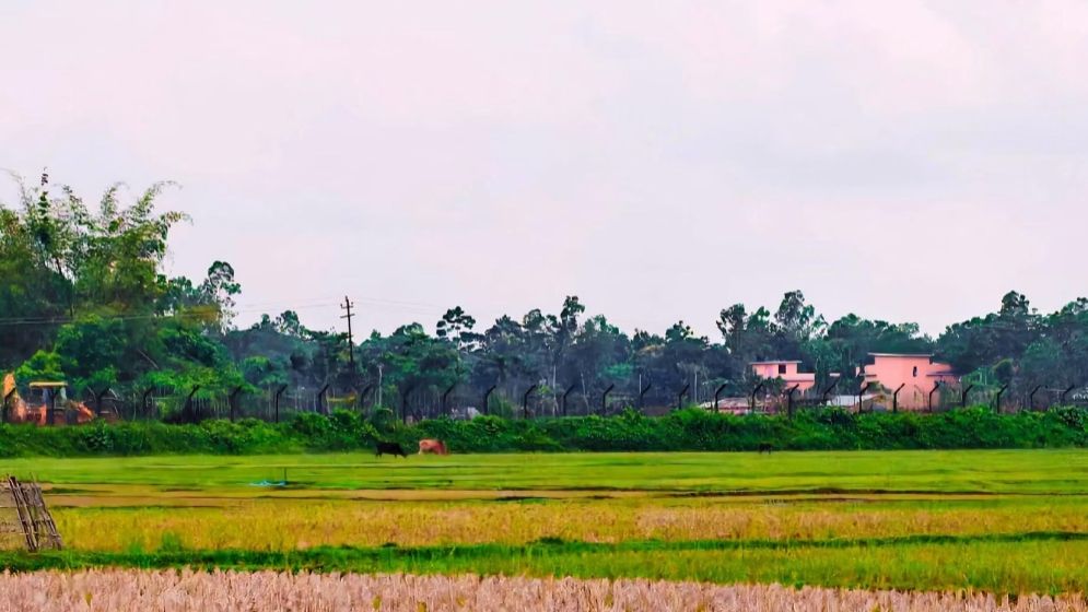 পরশুরাম সীমান্তে অবৈধ অনুপ্রবেশের চেষ্টা, রুখে দিল বিজিবি