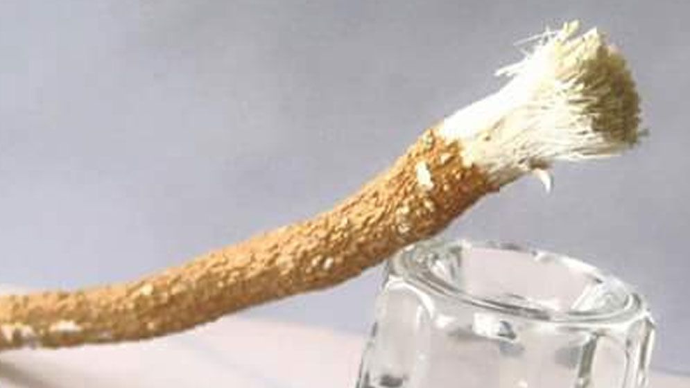 মিসওয়াক কেন এত গুরুত্বপূর্ণ সুন্নাহ?